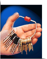 tamper proof keyring held in hand