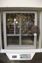 See-through Doors Example 02